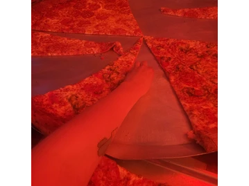 Big Lou's Pizza photo