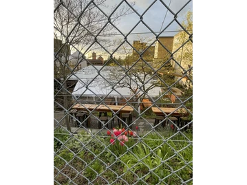 Boundary Bay Brewery & Bistro photo