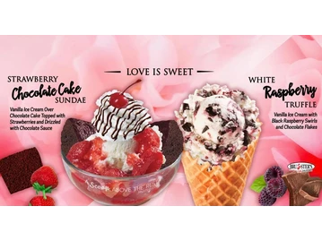 Bruster's Real Ice Cream menu photo