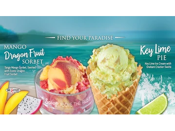 Bruster's Real Ice Cream menu photo