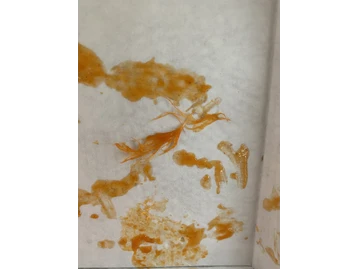 Buffalo Wild Wings photo