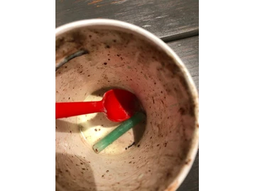 Dairy Queen (Treat) photo