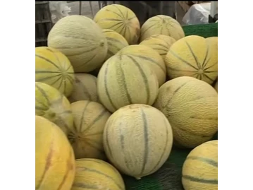 Mar Vista Farmers' Market photo