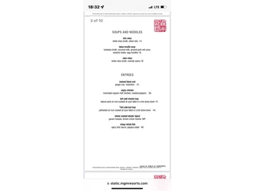 Morimoto menu photo