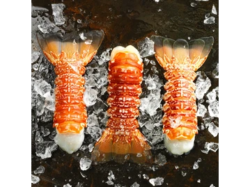 Truluck's Ocean's Finest Seafood and Crab photo
