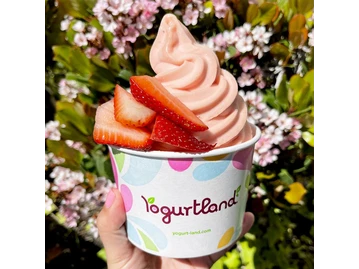 Yogurtland Arvada photo