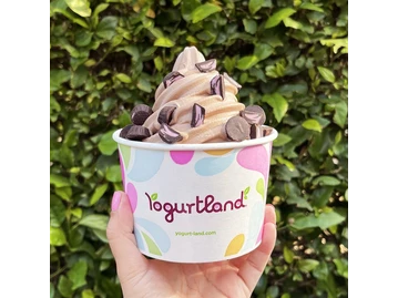 Yogurtland Centennial photo