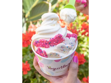 Yogurtland Littleton photo